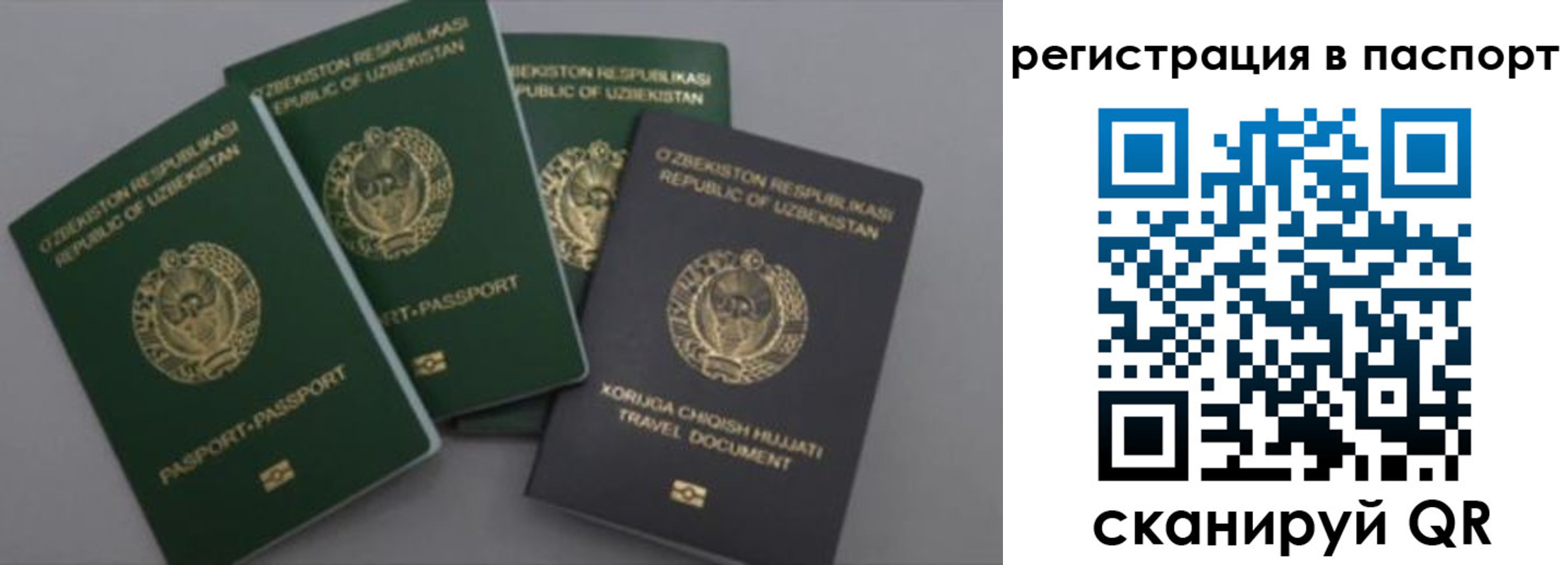 прописка от собственника в Красноярском крае